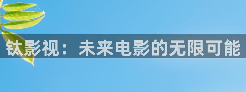 电影网 理论片