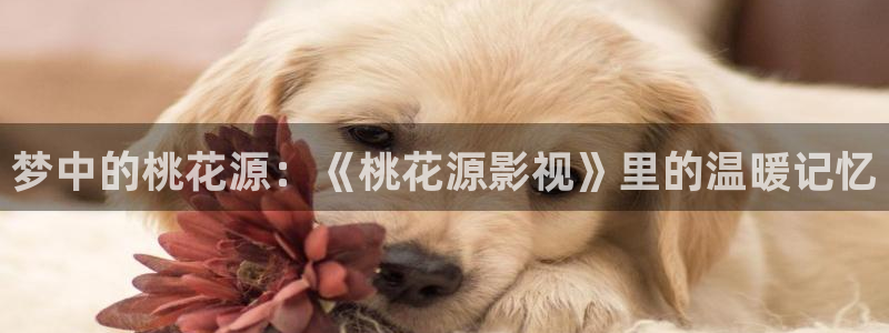 欧美午夜理论影院