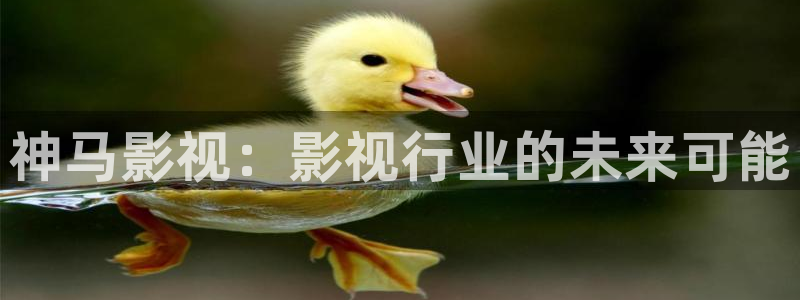 电影网理论片