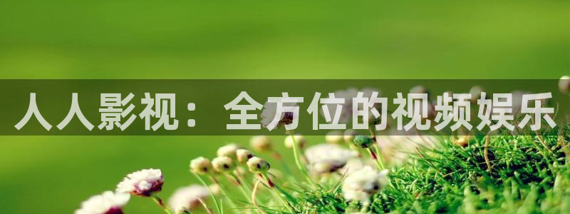 韩国理论在线免费电影
