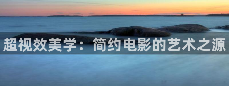 2020年理论电影