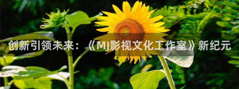 日韩成人理论电影：创新引领未来：《MJ影视文化工作室》新纪元