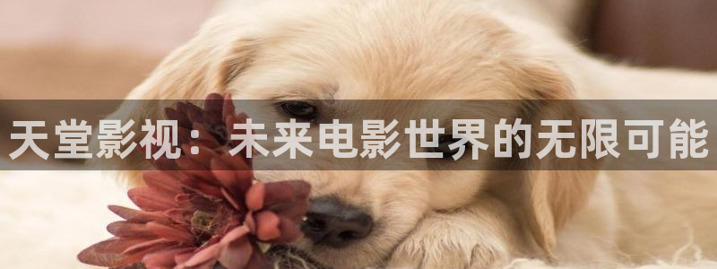 泰国理论电影大全