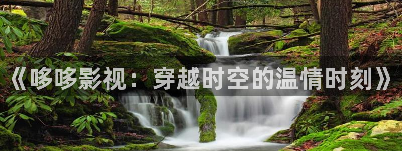 我不卡理论视频在线观看
