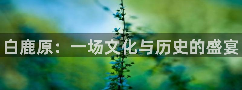 星空影院理论片